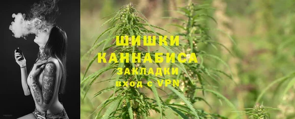трава Кинешма