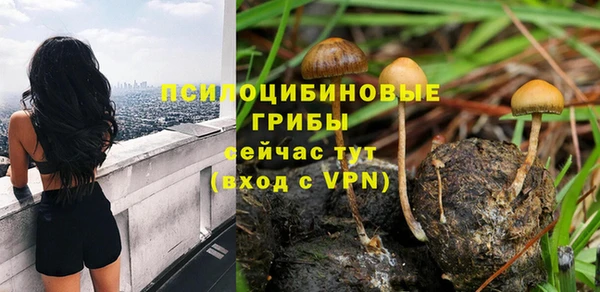 гашиш Карпинск
