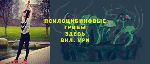 трава Кинешма