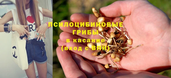 прущая мука Киреевск